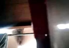 زیبایی گلشیفته فراهانیسکسی گربه