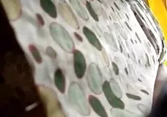 زیبا بلوند گربه تنگ او پر از فیلمهای سوپر گلشیفته فراهانی سیاه دیک