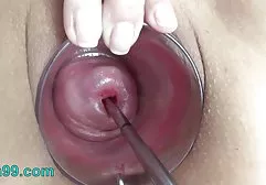 جنس MILF خانگی فیلمهای سوپر گلشیفته